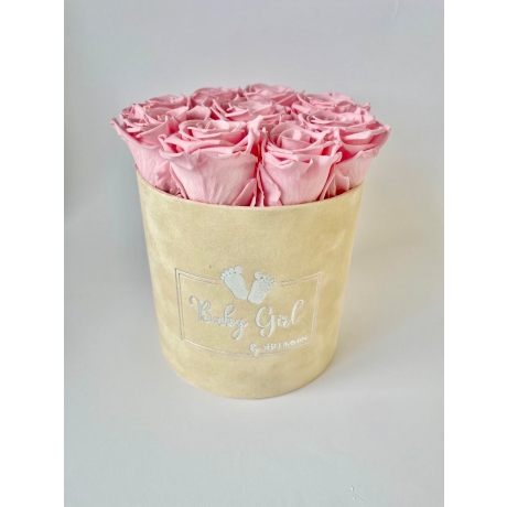 BABY GIRL - NUDE VELVET BOX WITH 9 BRIDAL PINK ROSES