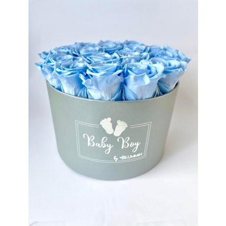 BABY BOY - light grey box with 15 mint roses