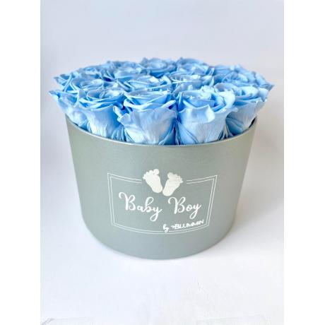 BABY BOY - light grey box with 15 mint roses