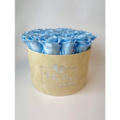 BABY BOY - LARGE NUDE VELVET BOX WITH BABY BLUE ROSES
