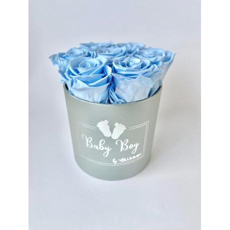 BABY BOY - LIGHT GREY BOX WITH 7 MINT ROSES 