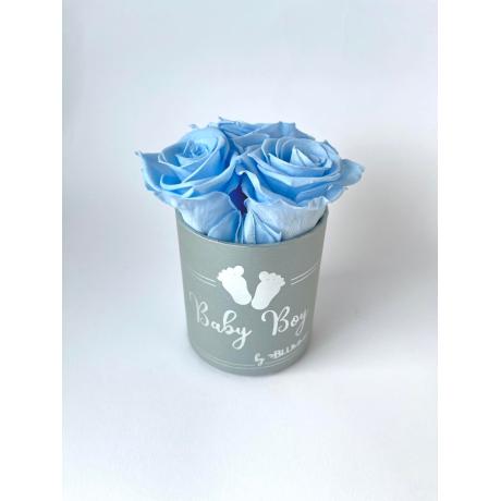 BABY BOY - BLUE BOX WITH 3 BABY BLUE ROSES 