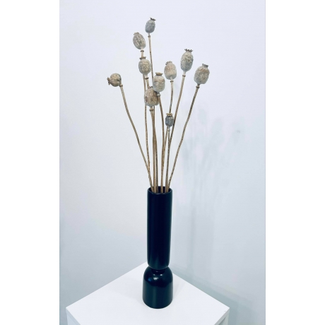 KUIVATATUD LILLED - PAPAVER NATURAL