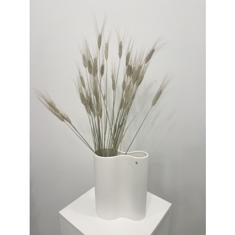 TRITICUM BEARD NATURAL
