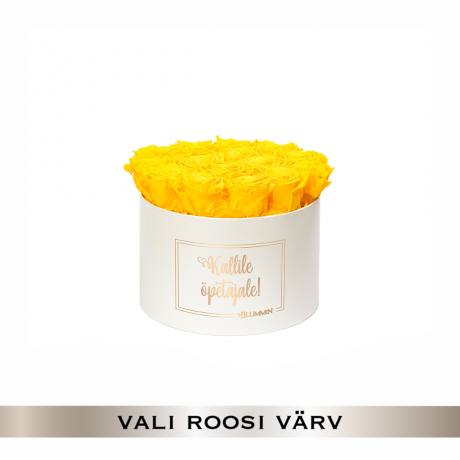 KALLILE ÕPETAJALE - LARGE CREAMY BOX WITH 17 ROSES