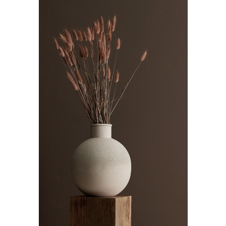 KUIVATATUD LILLED - LAGURUS EHK JÄNESESABA HAZELNUT