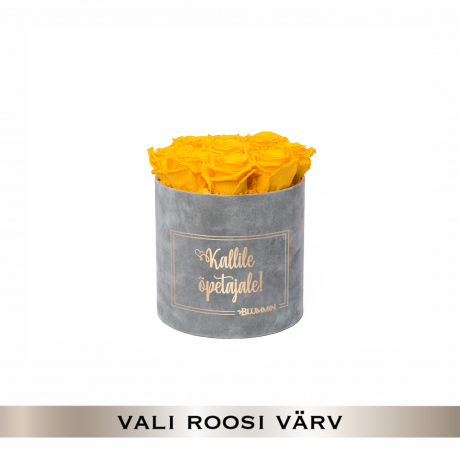 KALLILE ÕPETAJALE - MEDIUM LIGHT GREY VELVET BOX WITH 9 ROSES