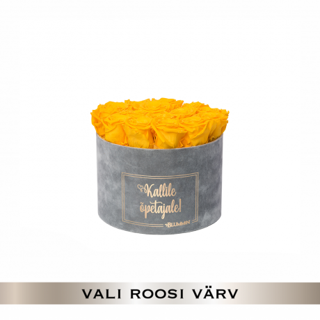 -20% KALLILE ÕPETAJALE - LARGE HELEHALL SAMETKARP (VALI ROOSI VÄRV)