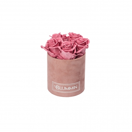 MIDI BLUMMiN - OLD PINK VELVET BOX WITH VINTAGE PINK ROSES