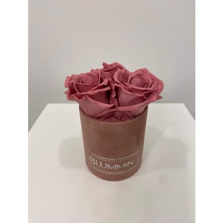 XS BLUMMiN - OLD PINK VELVET BOX WITH VINTAGE PINK ROSES