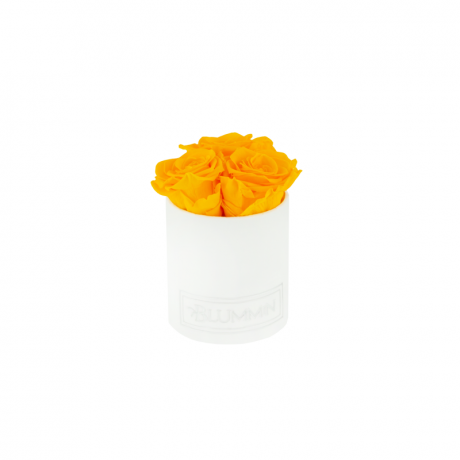 XS BLUMMIN WHITE VELVET BOX WITH YELLOW ROSES