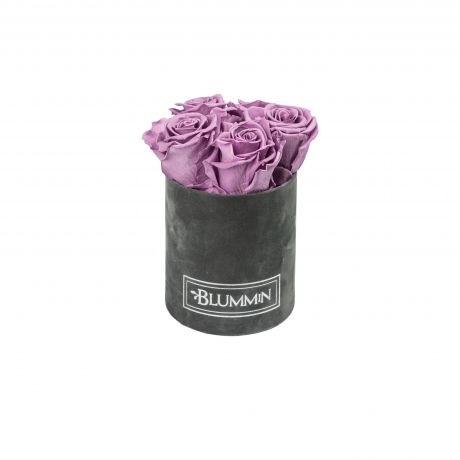 MIDI BLUMMIN - TUMEHALL SAMETKARP LILAC ROOSIGA