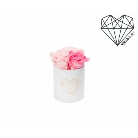 LOVE XS WHITE VELVET BOX WITH BABY PINK & BRIDAL PINK ROSES
