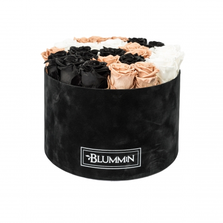 XL BLUMMiN - BLACK VELVET BOX WITH MIX ROSES