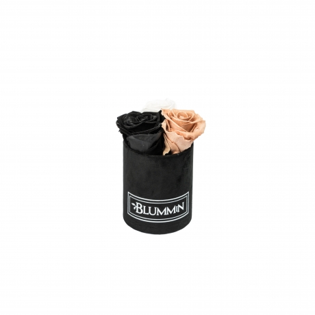 -30% XS BLUMMiN - BLACK VELVET BOX WITH MIX ROSES