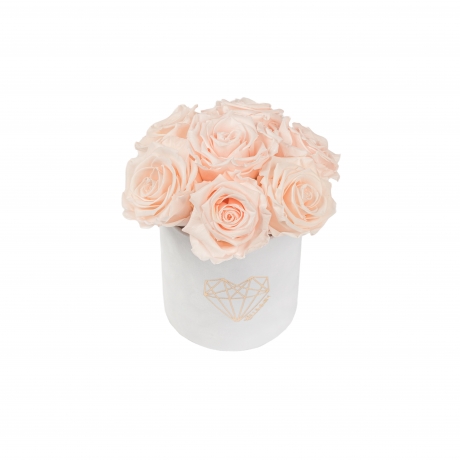 BOUQUET  WITH 7 ROSES - MIDI LOVE WHITE VELVET BOX WITH ICE PINK ROSES