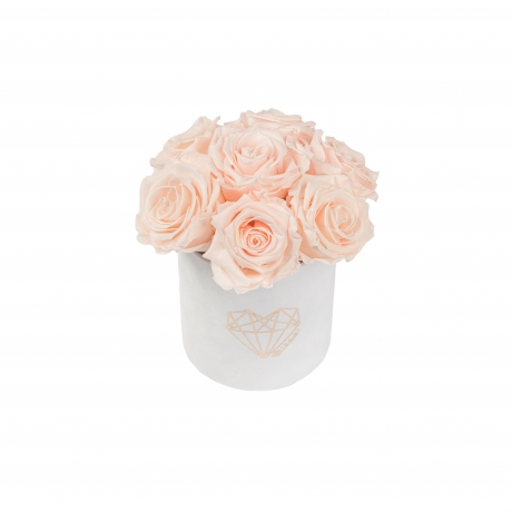 BOUQUET WITH 7 ROSES - MIDI LOVE WHITE VELVET BOX WITH ICE PINK ROSES