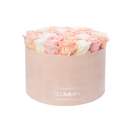 EXTRA LARGE VELVET LIGHT PINK BOX WITH MIX ROSES