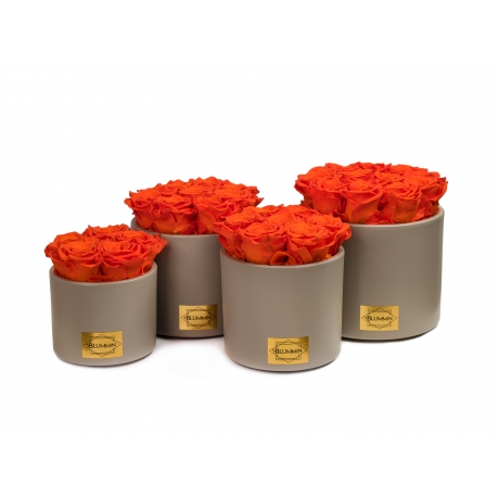 BEIGE CERAMIC POT WITH ORANGE ROSES