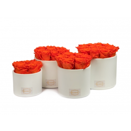 WHITE CERAMIC POT WITH ORANGE ROSES