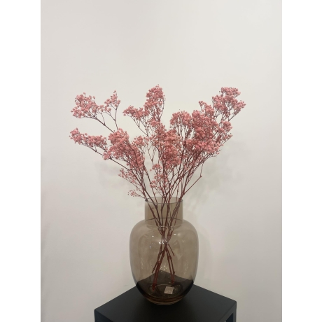 PRESERVED GYPSOPHILA - PINK