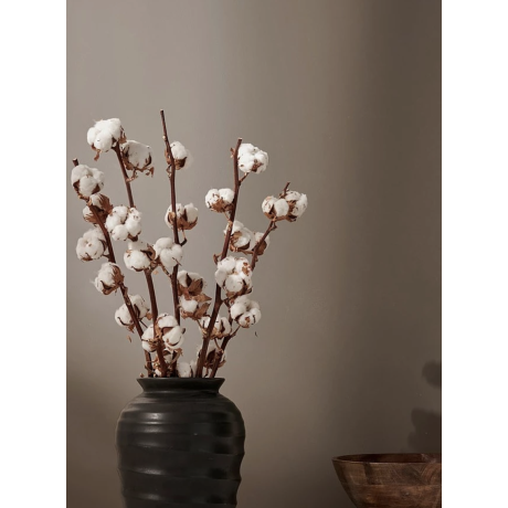 COTTON 1TK