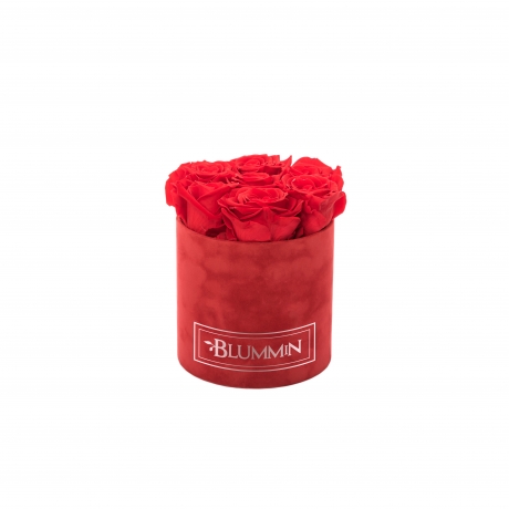 SMALL VELVET RED BOX WITH VIBRANT RED ROSES