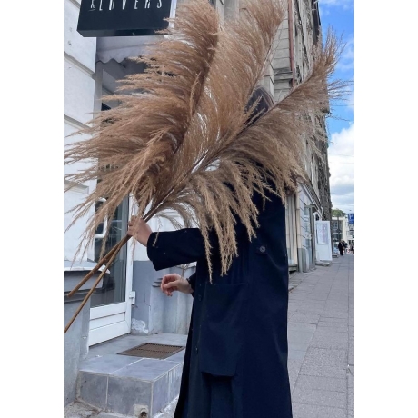 GIGANTNE PAMPAS 1,6 meetrit