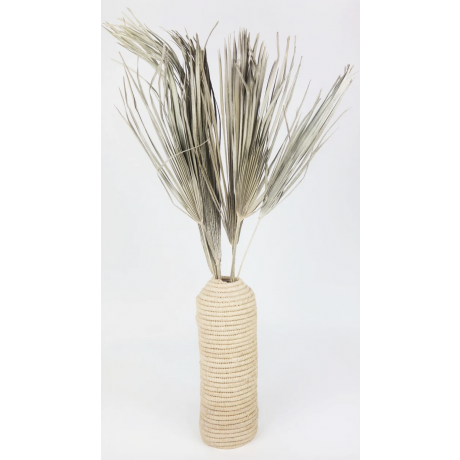 TRITICUM BEARD NATURAL