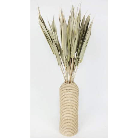 TRITICUM BEARD NATURAL