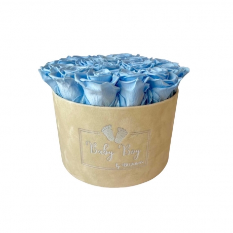 BABY BOY - LARGE LIGHT BLUE VELVET BOX WITH MIX (WHITE, BABY BLUE, MINT) ROSES