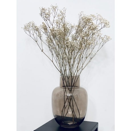 PRESERVED GYPSOPHILA - NATURAL