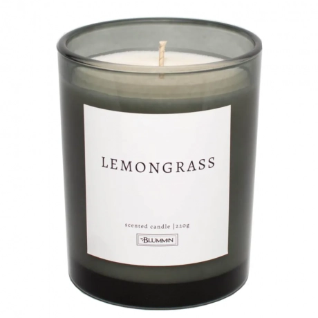 SOJAVAHAST LÕHNAKÜÜNAL 220g - LEMONGRASS