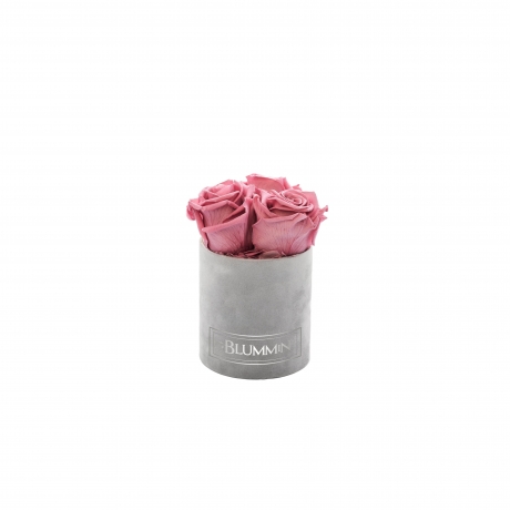 XS BLUMMIN - LIGHT GREY VELVET BOX WITH VINTAGE PINK ROSES