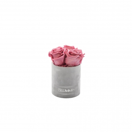 XS BLUMMIN - LIGHT GREY VELVET BOX WITH VINTAGE PINK ROSES