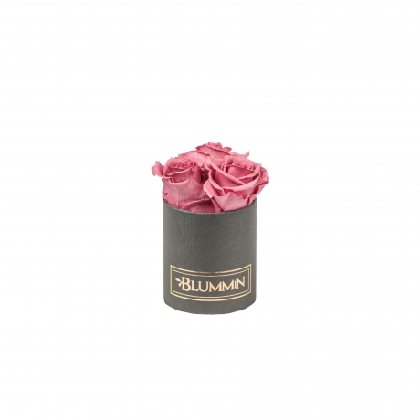 XS BLUMMIN DARK GREY BOX WITH VINTAGE PINK ROSES