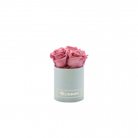 XS BLUMMiN - HELEHALL KARP VINTAGE PINK ROOSIDEGA