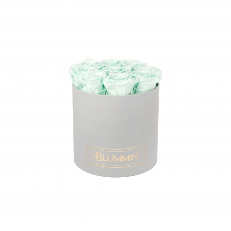 -20% MEDIUM BLUMMiN HELEHALL KARP MINT KAUASÄILIVATE ROOSIDEGA