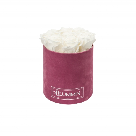 MEDIUM BLUMMiN - LIGHT PURPLE VELVET BOX WITH WHITE ROSES