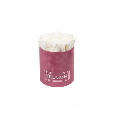 SMALL BLUMMiN - LIGHT PURPLE VELVET BOX WITH WHITE ROSES