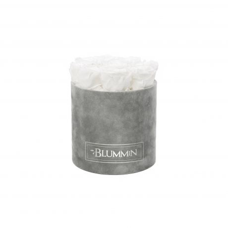 MEDIUM BLUMMiN - helehall sametkarp WHITE roosidega