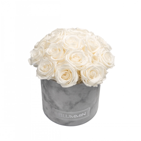  BOUQUET WITH 15 ROSES - MEDIUM BLUMMIN LIGHT GREY VELVET BOX WITH WHITE ROSES