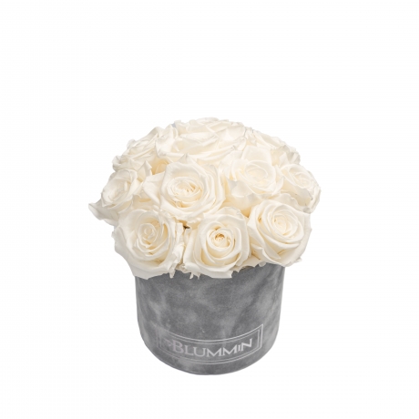  BOUQUET WITH 11 ROSES - SMALL LIGHT GREY VELVET BOX WITH WHITE ROSES