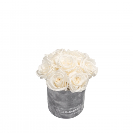 BOUQUET WITH 7 ROSES - MIDI LIGHT GREY VELVET BOX WITH WHITE ROSES