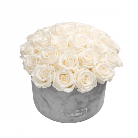 BOUQUET WITH 25 ROSES - LARGE BLUMMIN LIGHT GREY VELVET BOX WITH WHITE ROSES