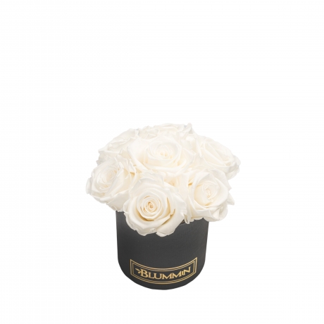 BOUQUET WITH 7 ROSES - MIDI BLACK BOX WITH WHITE ROSES