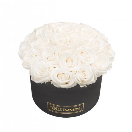 BOUQUET WITH 25 ROSES - LARGE BLUMMIN BLACK BOX WITH WHITE ROSES