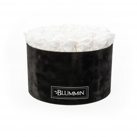 XL BLUMMiN - VELVET BLACK BOX WITH WHITE ROSES