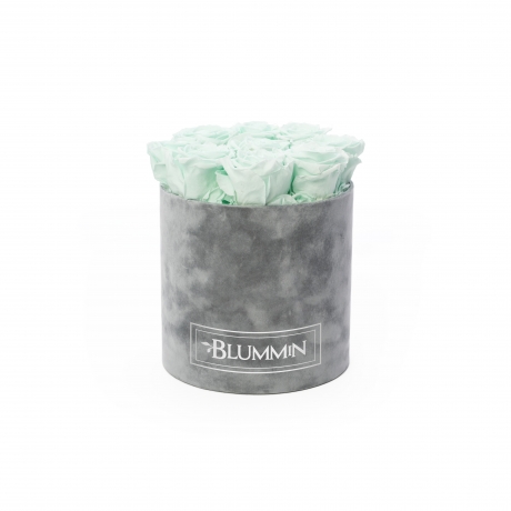 MEDIUM VELVET LIGHT GREY BOX WITH MINT ROSES