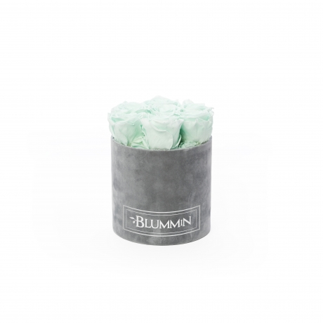 -20% SMALL BLUMMiN HELEHALL SAMETKARP MINT KAUASÄILIVATE ROOSIDEGA